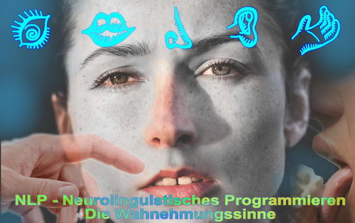 Systemische Aufstellungen und Coaching mit - NLP - Neurolinguistisches Programmieren - Praxis für Hypnosetherapie und Veränderungscoaching  - www.hypnose-hilfe.ch